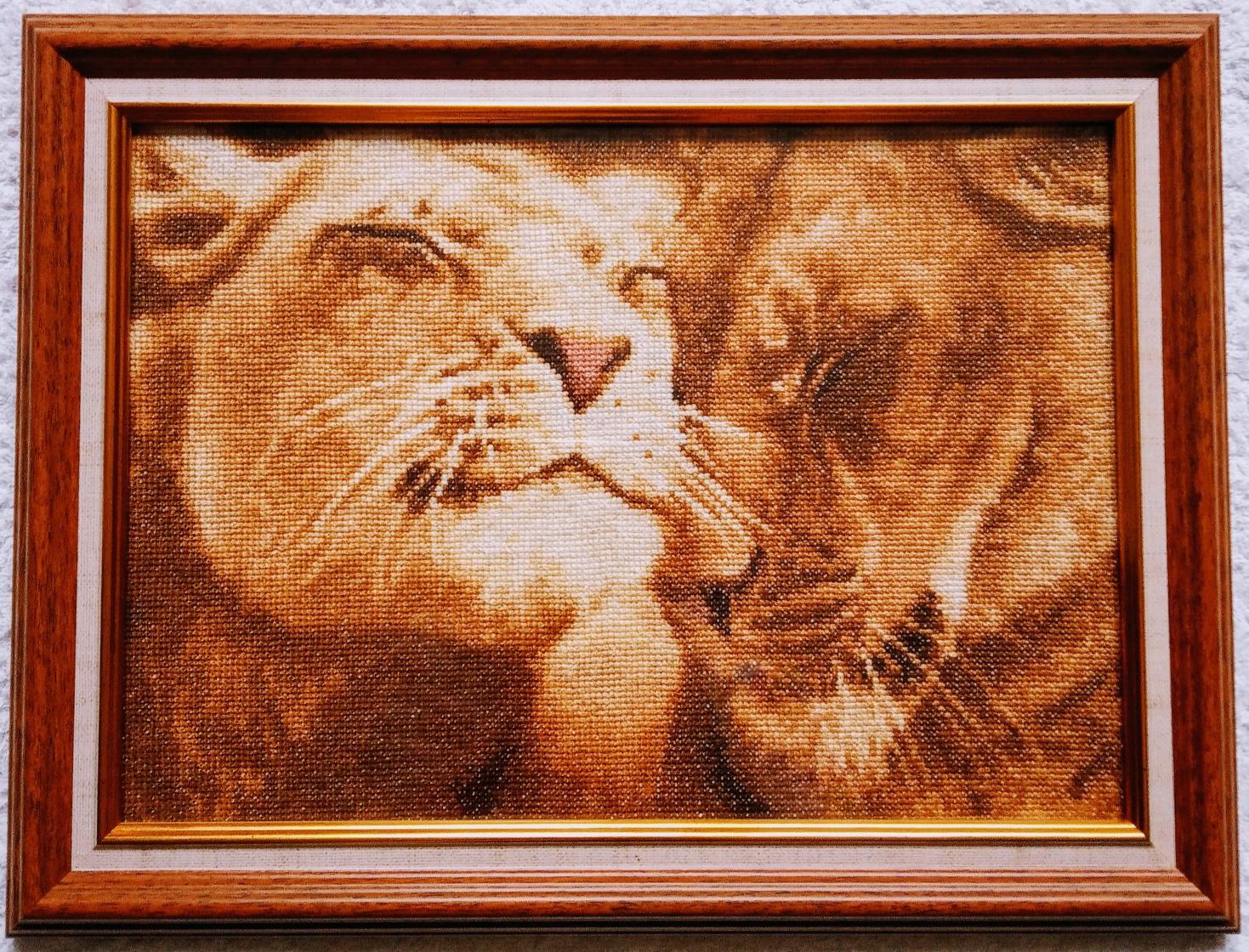 Изображение к отзыву Алёна Солдатова