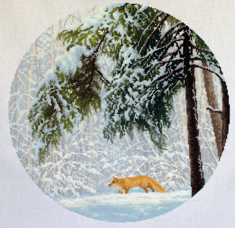 Изображение к отзыву Дарья